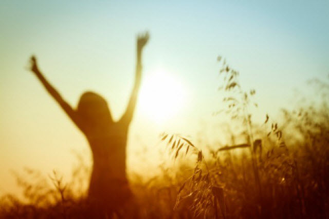 woman in a sunlit field